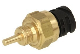 Temperature Sensor 51274210165