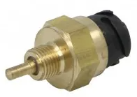 Temperature Sensor 81274210180