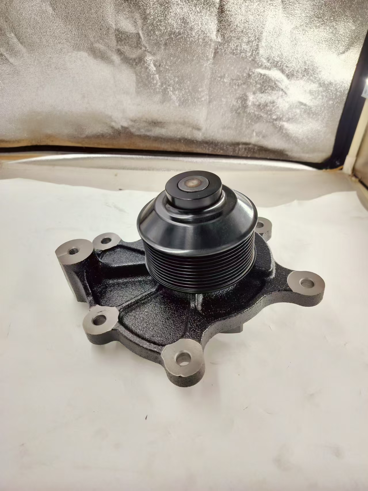 Water Pump 1002123784