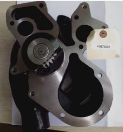 Water Pump 49875001