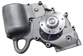 Water Pump 4602000001