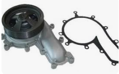 Water Pump 1549482