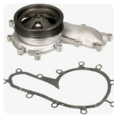 Water Pump 1549481