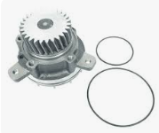 Water Pump 8170305