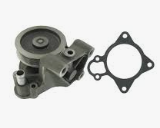 Water Pump 504248581