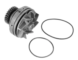 Water Pump 5000670157