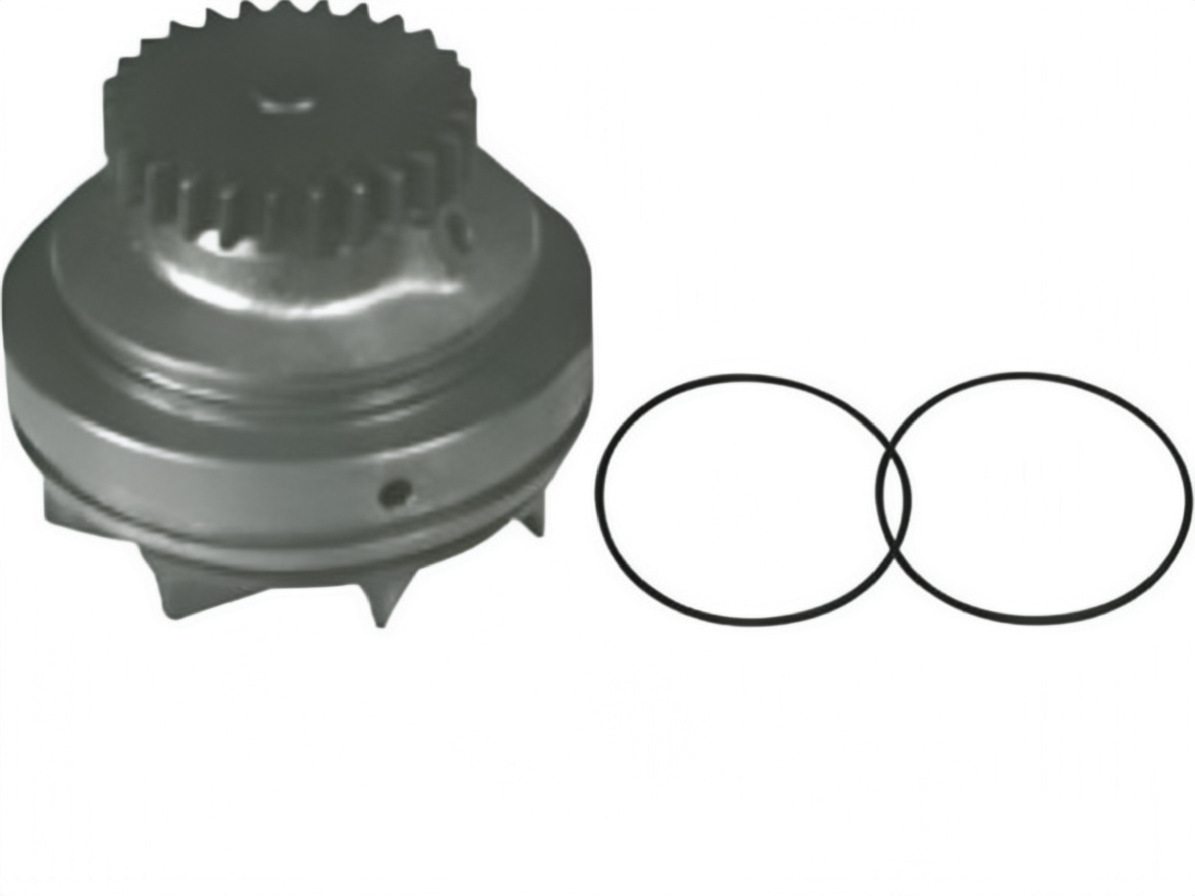 Water Pump 5000663121