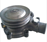 Water Pump 5001837322