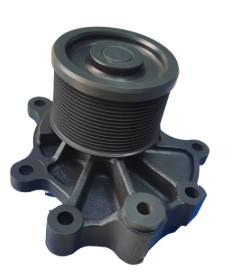 Water Pump 1000173871
