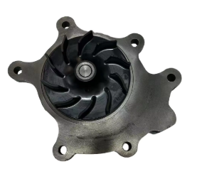 Water Pump 1000437469