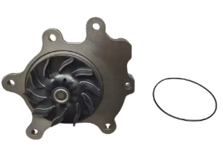Water Pump 1000588402