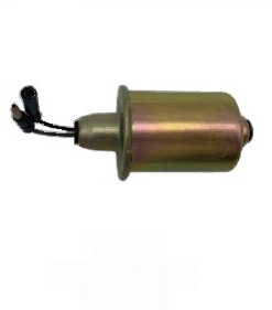 Fuel Pump B1R